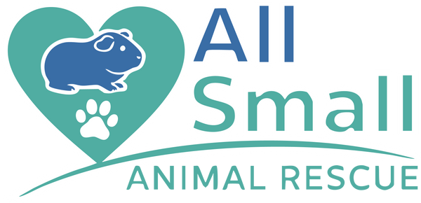 All Small Animal Store